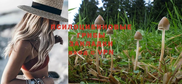 дмт Аркадак