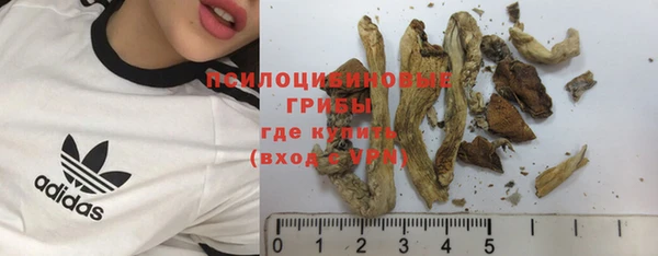 прущие грибы Армянск