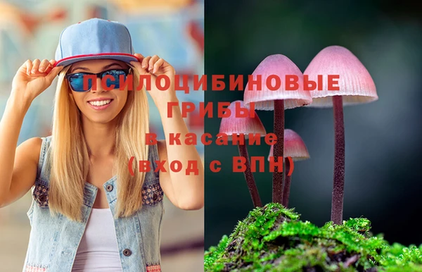 дмт Аркадак
