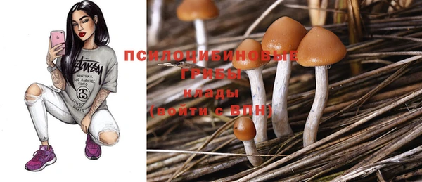 дмт Аркадак