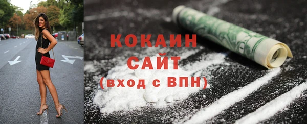 прущие грибы Армянск