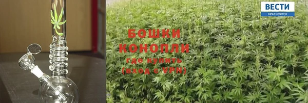 амф Арсеньев
