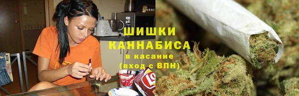 амф Арсеньев