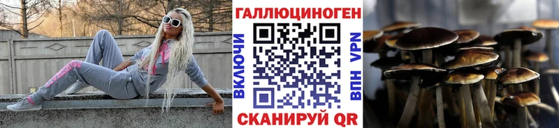 Галлюциногенные грибы MAGIC MUSHROOMS  маркетплейс формула  Чернушка 